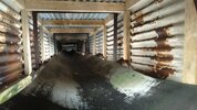 IMG_20180321_124207287.jpg