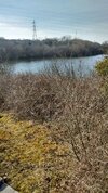 IMG_20180321_130423683_HDR.jpg