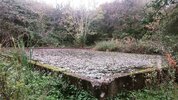 IMG_20161015_172311.jpg