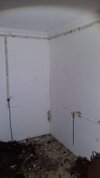 20200229_170555.jpg