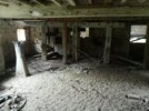 IMG_20200616_114538.jpg