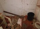 IMG_20210927_163916272.jpg