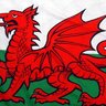 Dragon1234