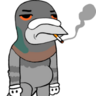 pigeoncv5