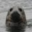 ScopingSeal