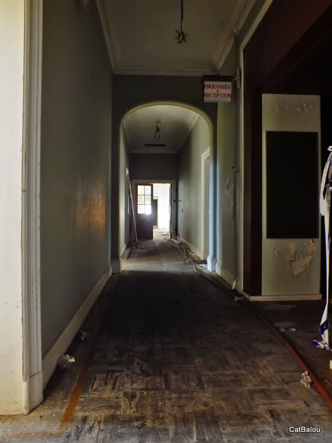 69577341.jpg