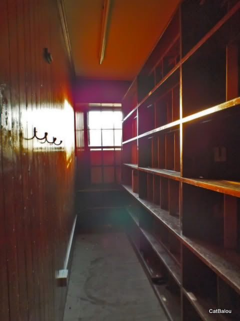 ba596091.jpg