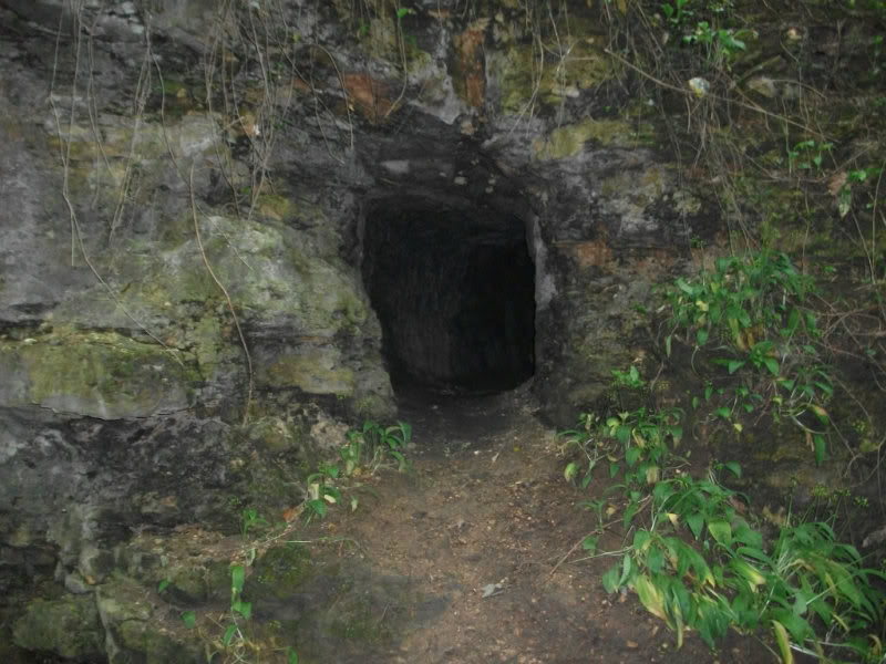 DSCF0673.jpg