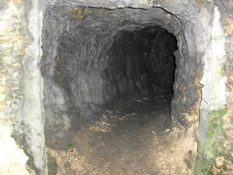 DSCF0674.jpg