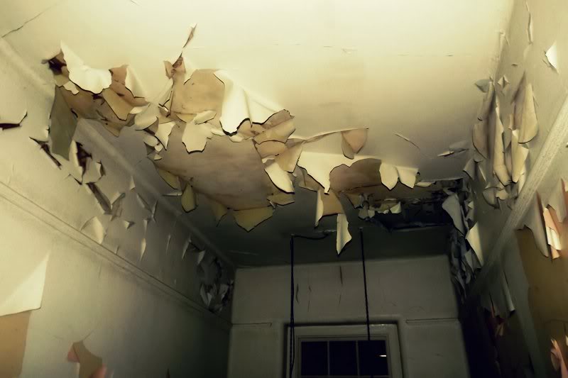 LluestyHospitalNorthWalesJan2012-15.jpg