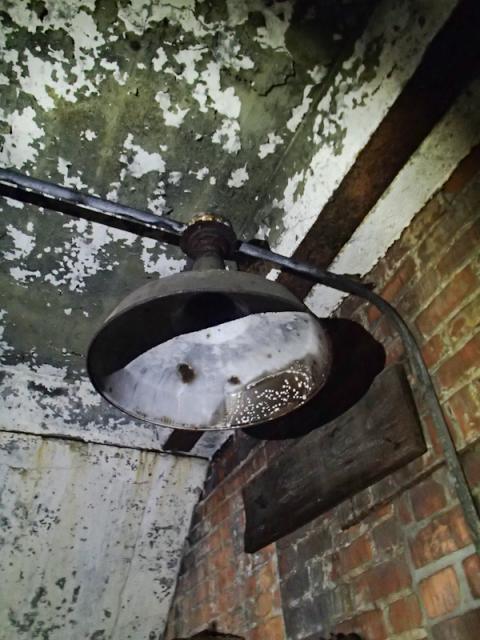 PA250348_zpseaf655ae.jpg