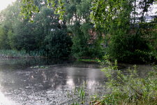 14269fr.jpg