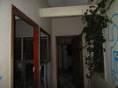 IMG_6531.JPG