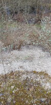 20210308_094916.jpg