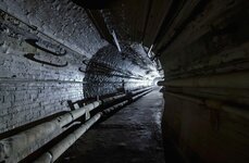 Photo contest thumbnail