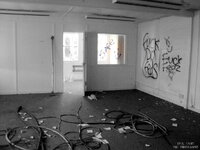 DSC06213.JPG