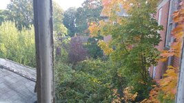 20151004_160604.jpg 20151004_160604.jpg