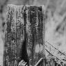 23rdphotos