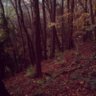 hillsatdusk